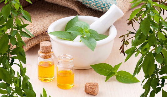 The Complete Beginner’s Guide to Essential Oils for Everyday Wellness