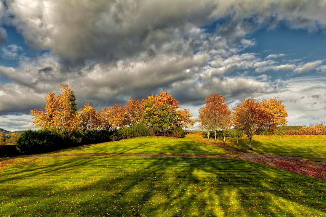 Autumn 2025 in the USA